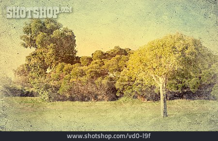 
                Landschaft, Bäume, Postkarte                   