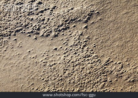 
                Sand, Muster, Struktur                   