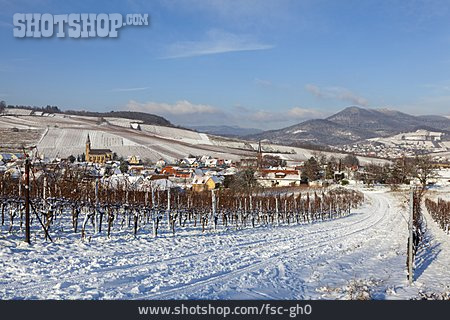 
                Wintertag, Südpfalz, Birkweiler                   