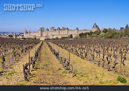 
                Weinanbau, Carcassonne                   