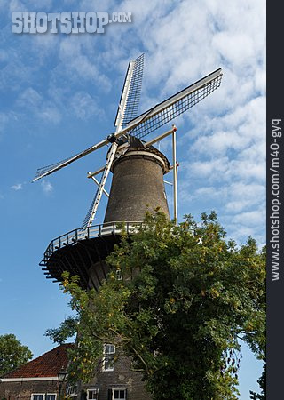 
                Windmühle, Leiden                   