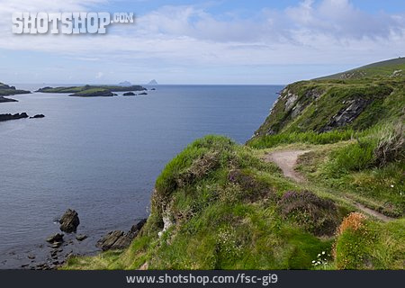 
                County Kerry, Skellig Ring, Skellig Inseln                   