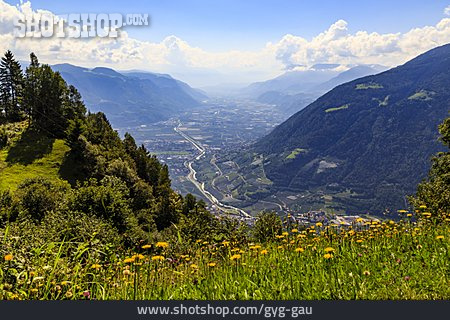 
                Tal, Aussicht, Südtirol, Meran                   