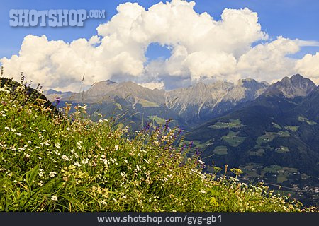 
                Alpen, Südtirol, Alm                   