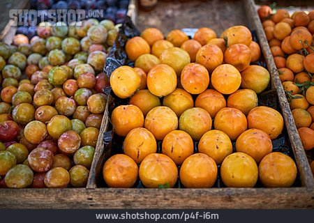 
                Früchte, Pflaumen, Marktstand                   