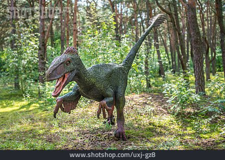 
                Dinosaurier, Jurapark, Velociraptor                   