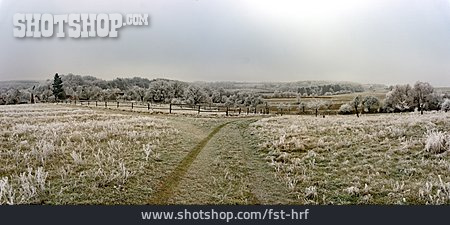 
                Landschaft, Winter, Frost, Raureif                   