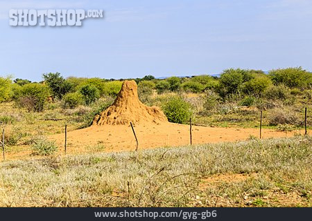 
                Namibia, Termitenhügel                   