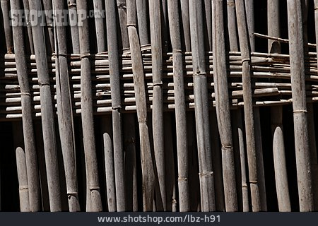 
                Bambus, Sichtschutz                   