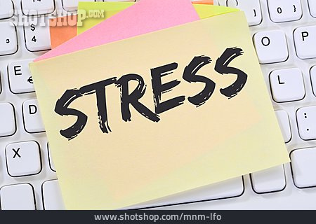 
                Stress                   