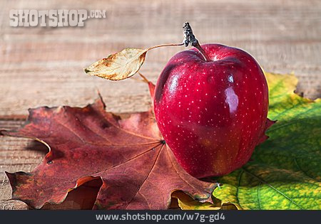 
                Herbst, Apfel                   