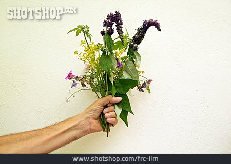 
                Blumenstrauß, Wildblumen                   