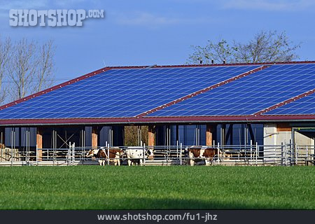 
                Rinderzucht, Solardach                   