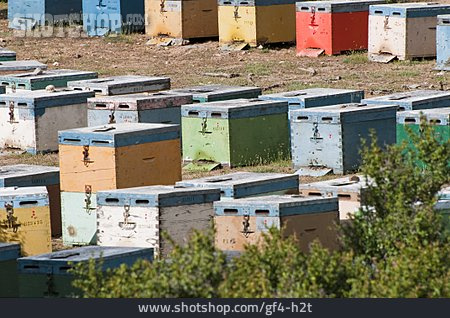 
                Bienenstock, Bienenzucht, Wanderstand, Kreta                   