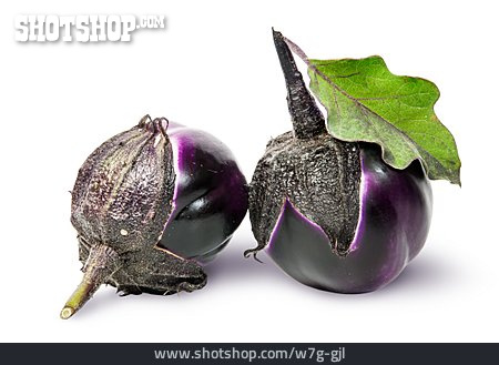 
                Aubergine                   