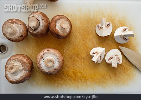 
                Pilze, Champignons                   