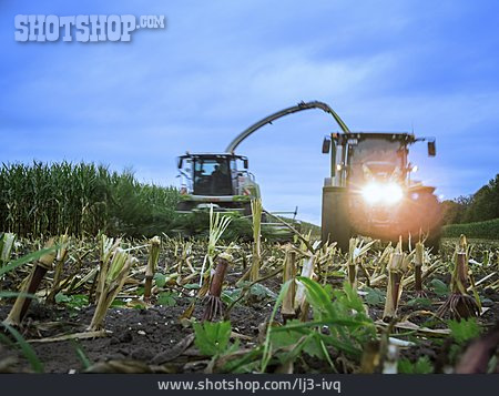 
                Landwirtschaft, Maisernte, Erntemaschine                   