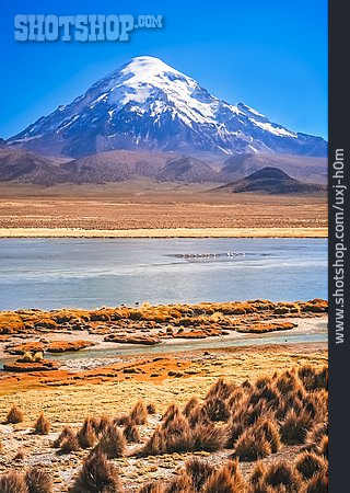
                Bolivien, Vulkanlandschaft, Sajama-nationalpark                   
