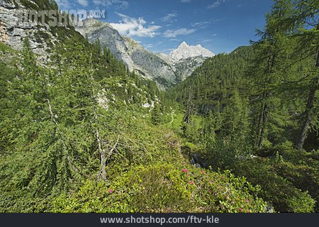 
                Alpen, Berchtesgadener Land                   