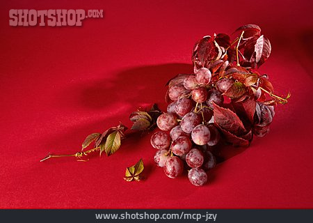 
                Rote Weintrauben                   