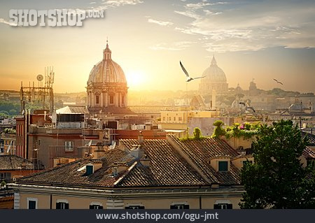 
                Dom, Rom, Vatikan                   