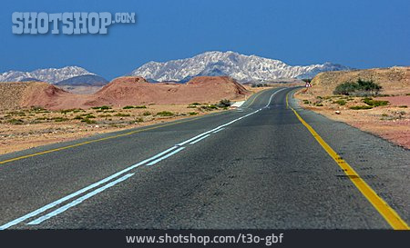 
                Oman, Wüstenstraße                   