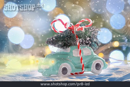 
                Weihnachtsbaum, Transportieren                   