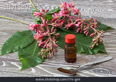 
                Homöopathie, Naturheilkunde, Bachblüten, Kastanienblüten                   