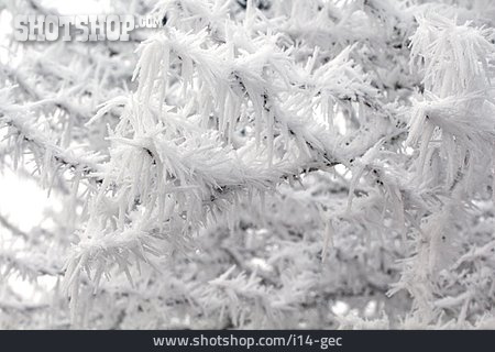 
                Rime, Ice Crystals                   