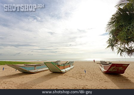 
                Küste, Sri Lanka, Boote                   
