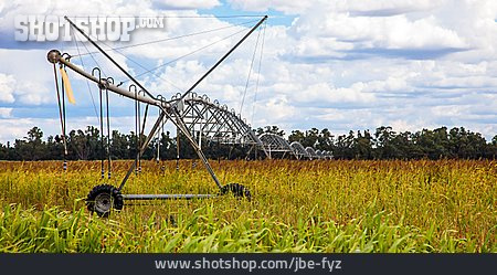 
                Feld, Landwirtschaft, Maisfeld, Bewässerungsanlage                   