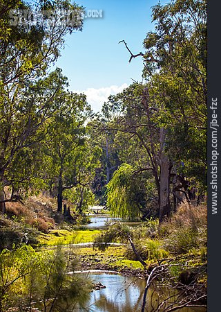 
                Natur, Fluss, Australien, New South Wales                   