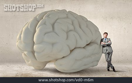 
                Wissen, Intelligenz, Gehirnleistung                   