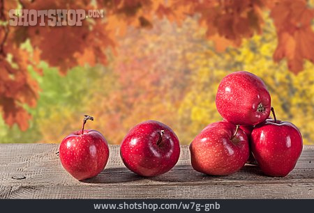 
                Apfel, Roter Apfel, Herbstapfel                   
