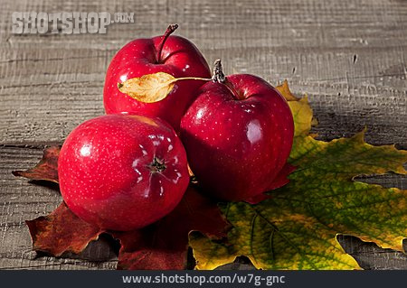 
                Apfel, Roter Apfel, Herbstapfel                   