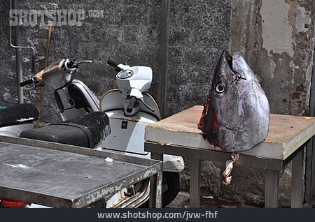 
                Thunfisch, Fischkopf                   