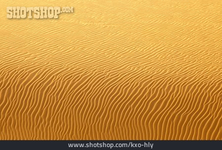 
                Wüste, Sandboden, Rippelmarke                   