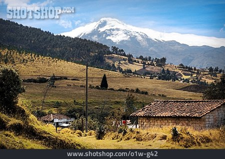 
                Ecuador, Cotacachi, Cordillera Occidental                   