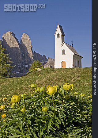 
                Kirche, Südtirol, Trollblumen                   