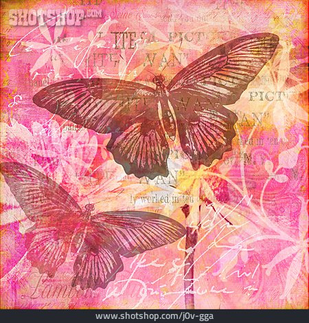 
                Schmetterling, Blumenmuster, Collage                   