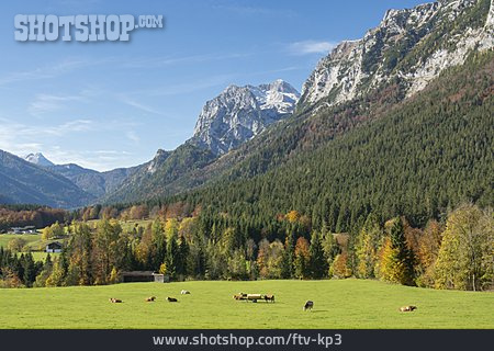 
                Gebirge, Alpen, Berchtesgadener Land, Reiteralpe                   