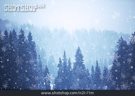 
                Winter, Eiskristalle, Schneeflocken, Tannenbäume                   