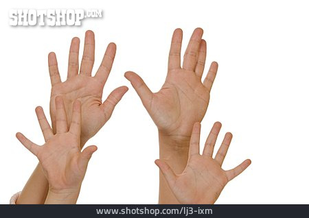 
                Hand                   