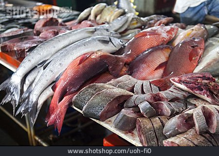 
                Fisch, Fischmarkt, Fischstand                   