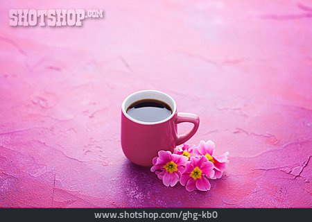 
                Blüte, Pink, Heißgetränk                   