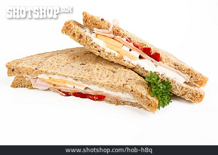 
                Sandwich                   