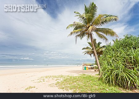 
                Sri Lanka, Bentota Beach                   