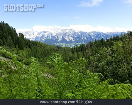 
                Steiermark, Dachsteinmassiv, Ennstal, Reiteralm                   