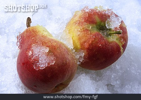 
                Apfel, Birne                   