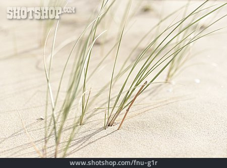 
                Hintergrund, Wellness & Relax, Strand, Dünen, Dünengras                   